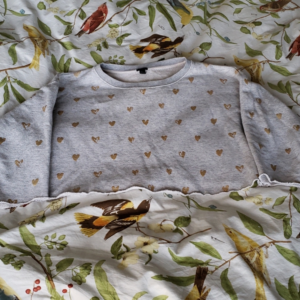 🖤 3/$15 J CREW Cropped Sweatshirt